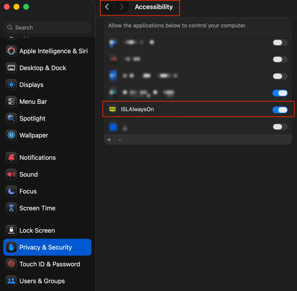 macOS Accessibility settings with ISLAlwaysOn switched on